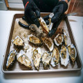 Exclusieve hapjes serveren tijdens je feest? Ga voor oesters!